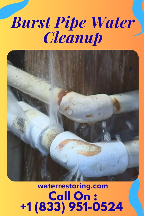 Burst Pipe Water Cleanup in Magnolia, MN